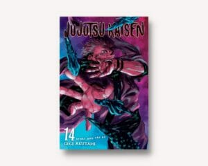 jujutsu_kaisen14
